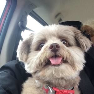 Meet your Posher, Tracy